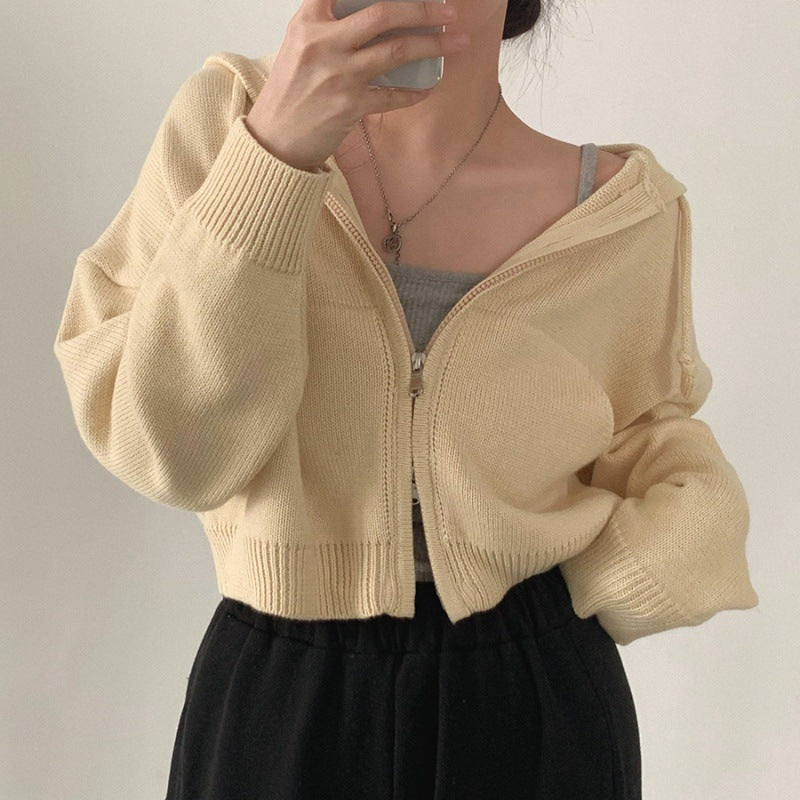 Autumn Leisure Hooded Cropped Sweater Coat