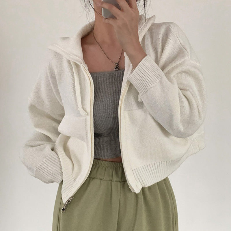 Autumn Leisure Hooded Cropped Sweater Coat